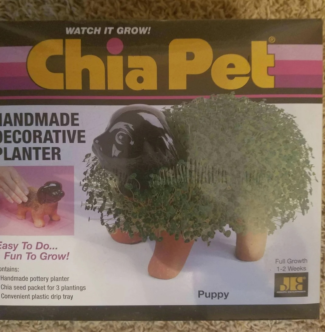 Chia Pets